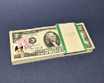 FR. 1935 G $2 1976 Federal Reserve Note Chicago 100pc Gem CU