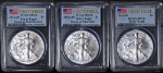 2014-W, (W) (S) Silver American Eagle $1 PCGS MS70 &quot;Mint-mark&quot; Set 1st Strike