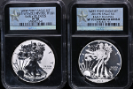 2013-W Silver American Eagle $1 2 Coin Set NGC Reverse PF70 Enhanced SP70 Black