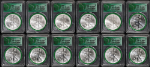 2006 - 2017 Silver American Eagle $1 12 Coin Lot PCGS MS69 - Direct from Sealed