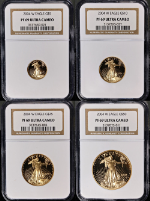 2004-W Gold American Eagle 4 Coin Proof Set NGC PR69 Ultra Cameo Brown Label