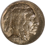 1920-D Buffalo Nickel NGC MS63 Very Old Holder Nice Eye Appeal