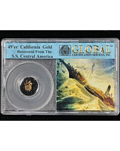 49'er California Gold S.S. Central America Recovery in GCS Slab - STOCK